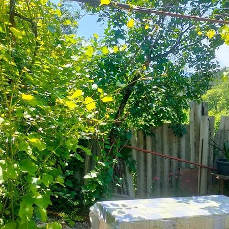 Guest House Gogias Cixe Боржоми Екстериор снимка