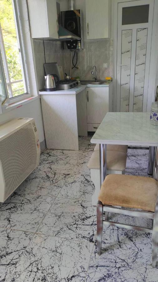 Guest House Gogias Cixe Боржоми Екстериор снимка