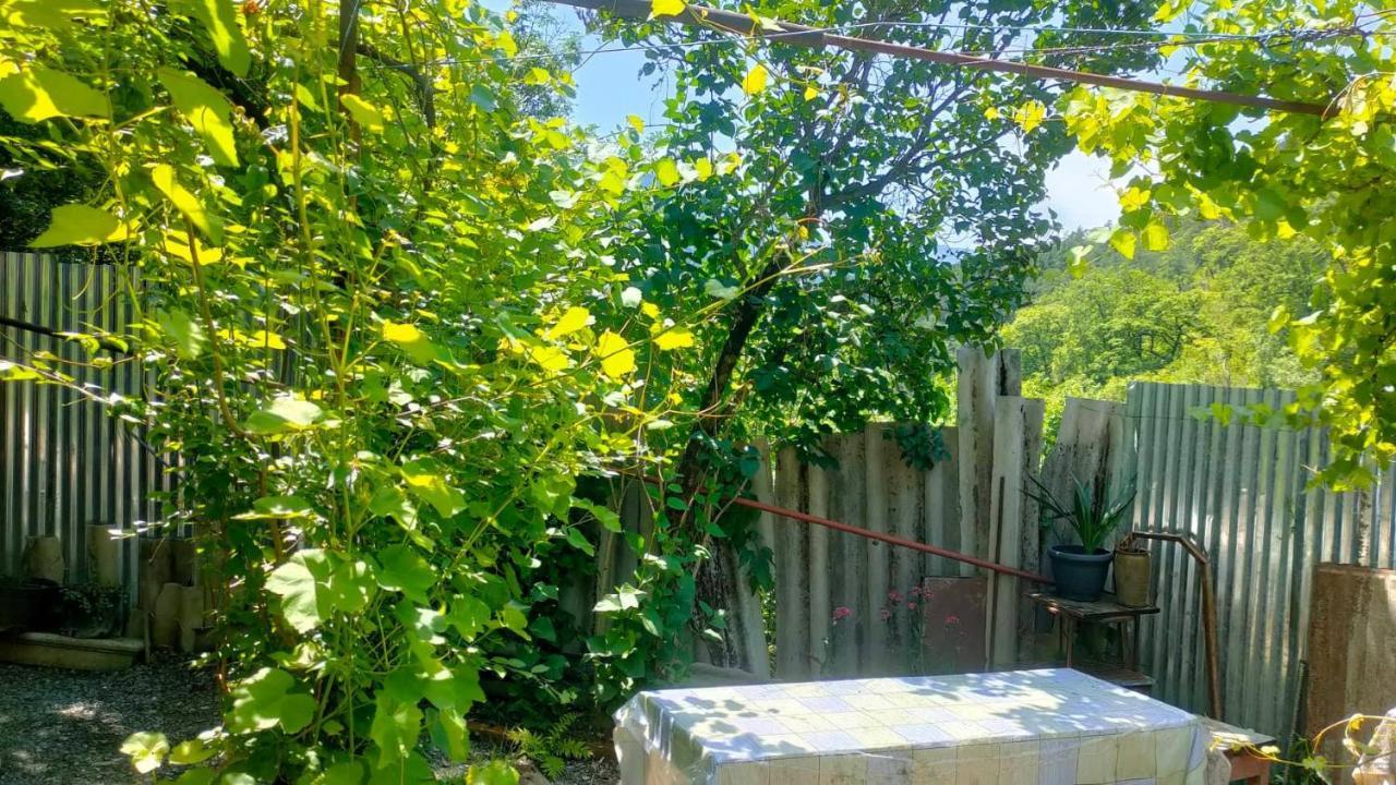 Guest House Gogias Cixe Боржоми Екстериор снимка