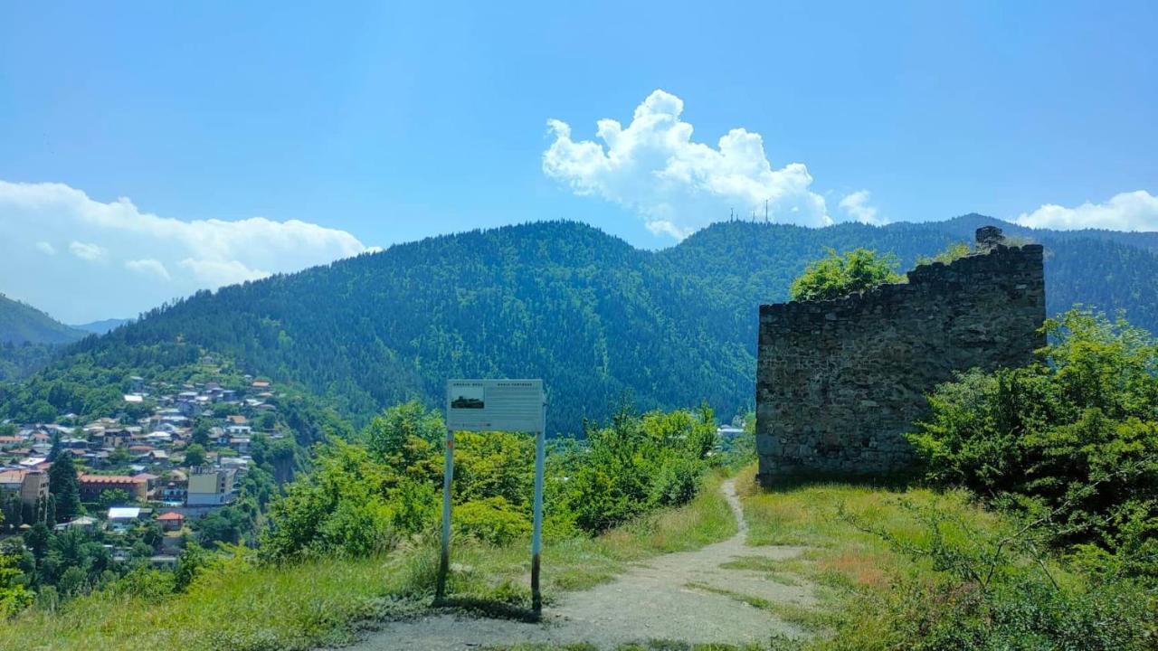 Guest House Gogias Cixe Боржоми Екстериор снимка