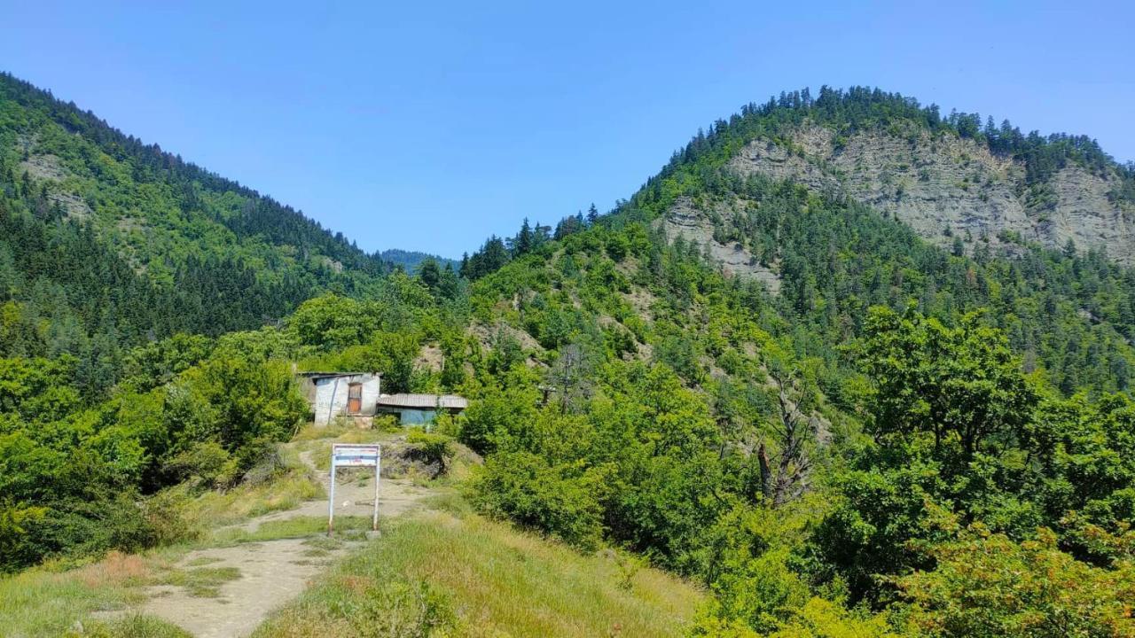 Guest House Gogias Cixe Боржоми Екстериор снимка