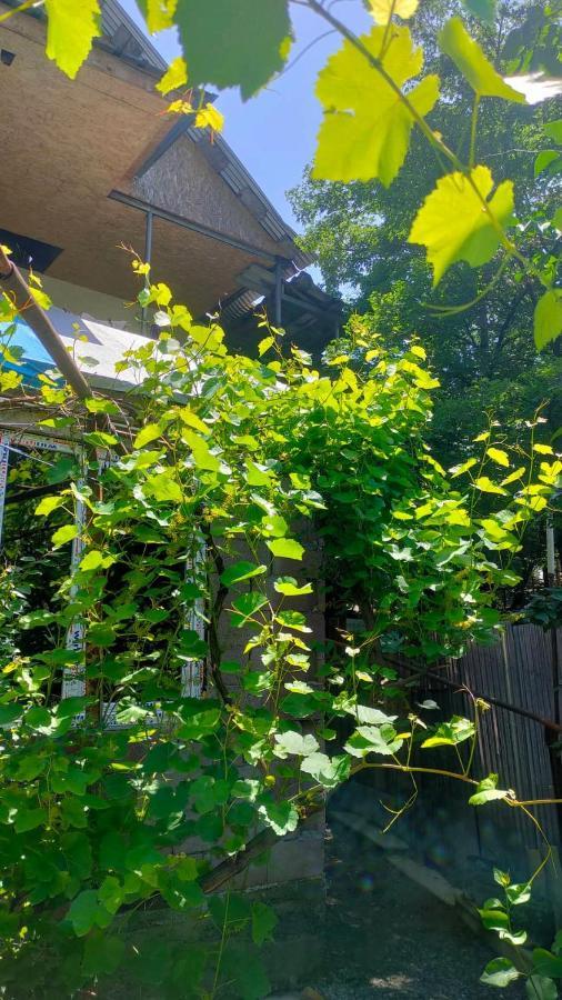 Guest House Gogias Cixe Боржоми Екстериор снимка