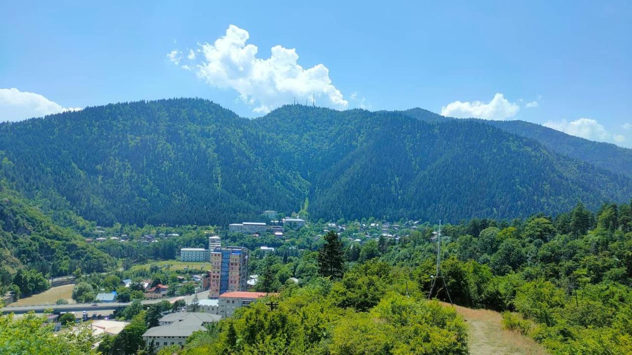 Guest House Gogias Cixe Боржоми Екстериор снимка