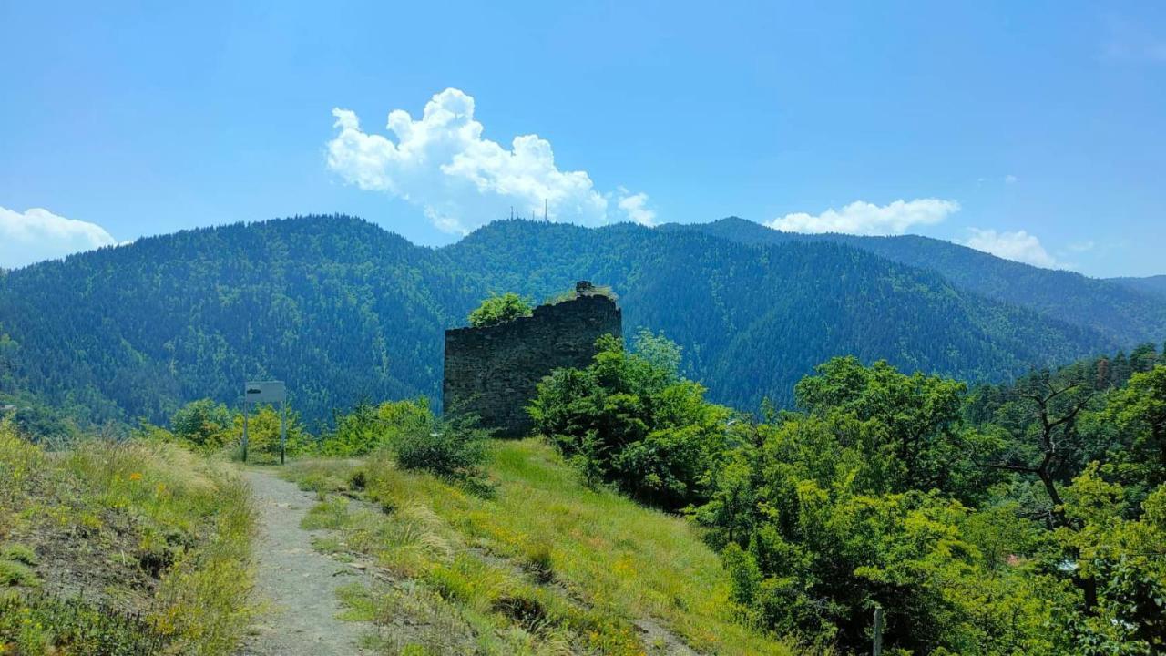 Guest House Gogias Cixe Боржоми Екстериор снимка